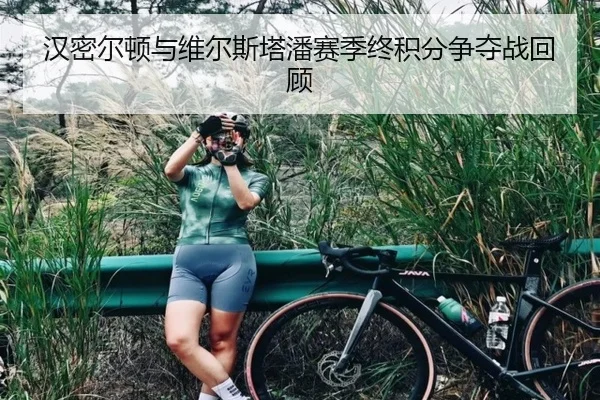 汉密尔顿与维尔斯塔潘赛季终积分争夺战回顾